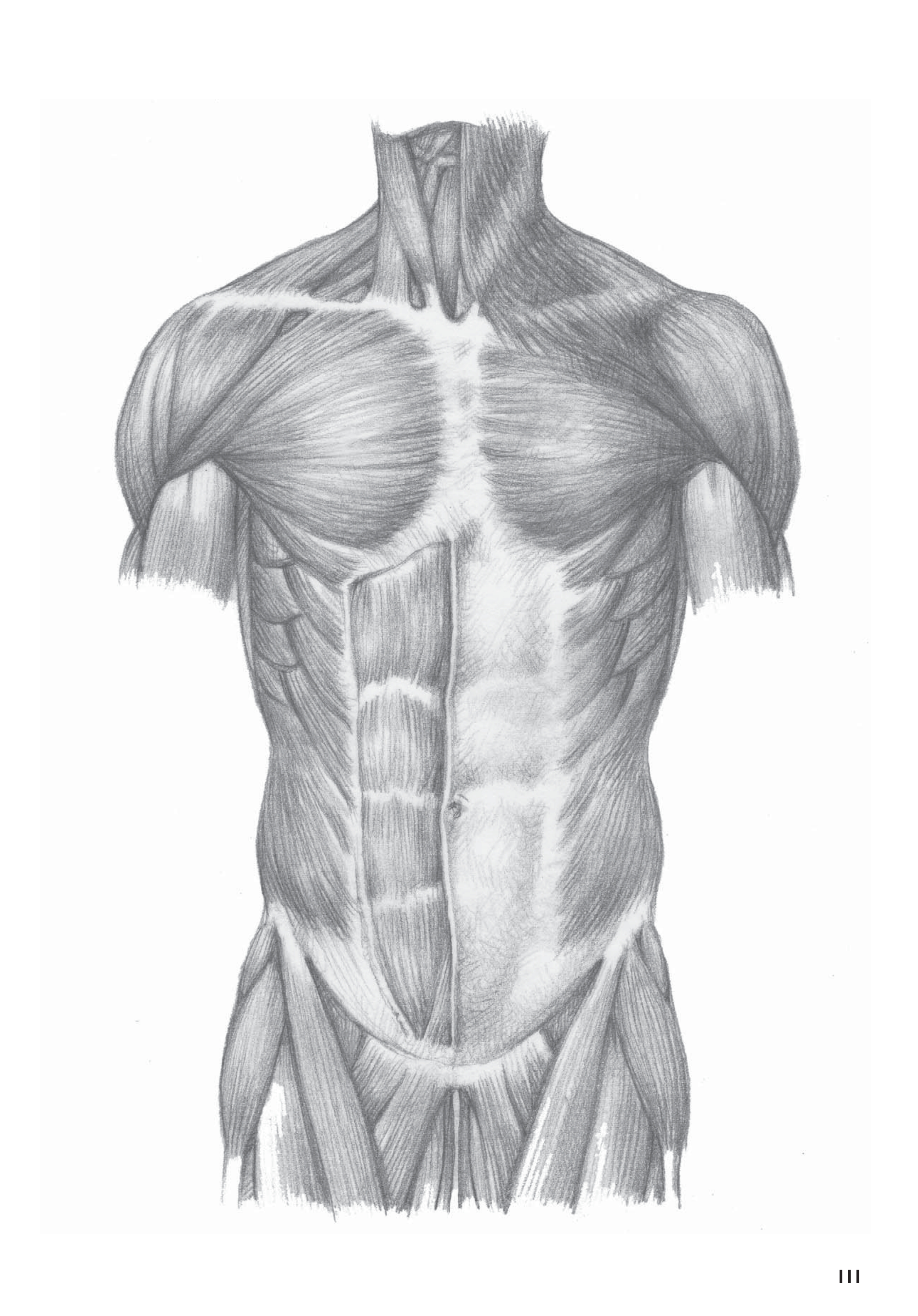 آموزش نقاشی طراحی سیاه قلم شهرری